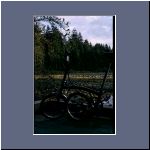 Van_2003_1.jpg