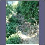 DSCF0151.JPG