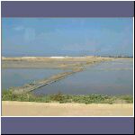DSCF0162.JPG