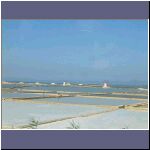 DSCF0165.JPG
