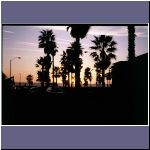 Venice 
Beach