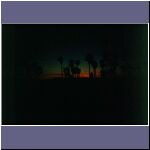 venicebeach3.jpg